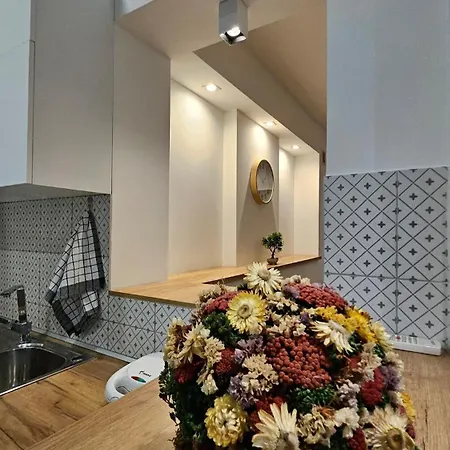 Apartment Comfort,fully Equipped,modern60m2 Flat,near Center *